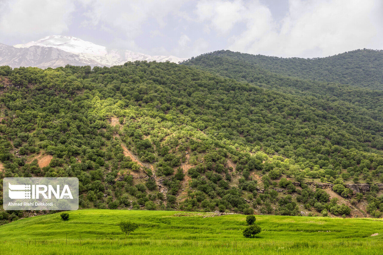 اقامتگاه بوم گردی، اقامتگاه و خونه روستایی، ویلا