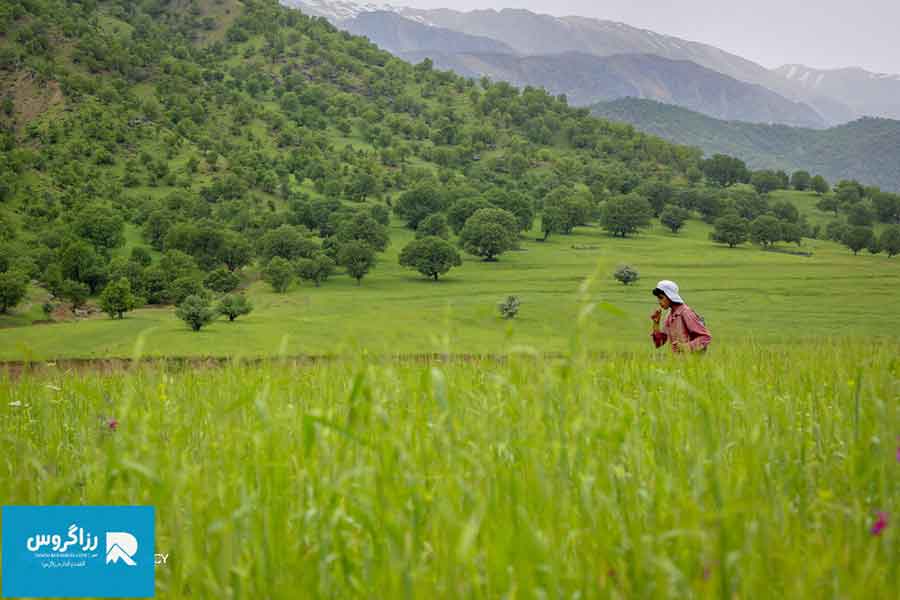 اقامتگاه بوم گردی، اقامتگاه و خونه روستایی، ویلا
