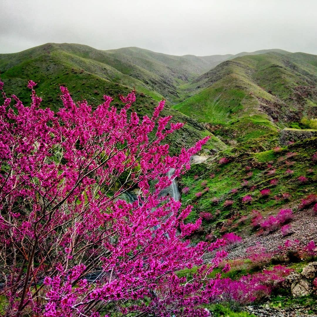 اقامتگاه بوم گردی، اقامتگاه و خونه روستایی، ویلا