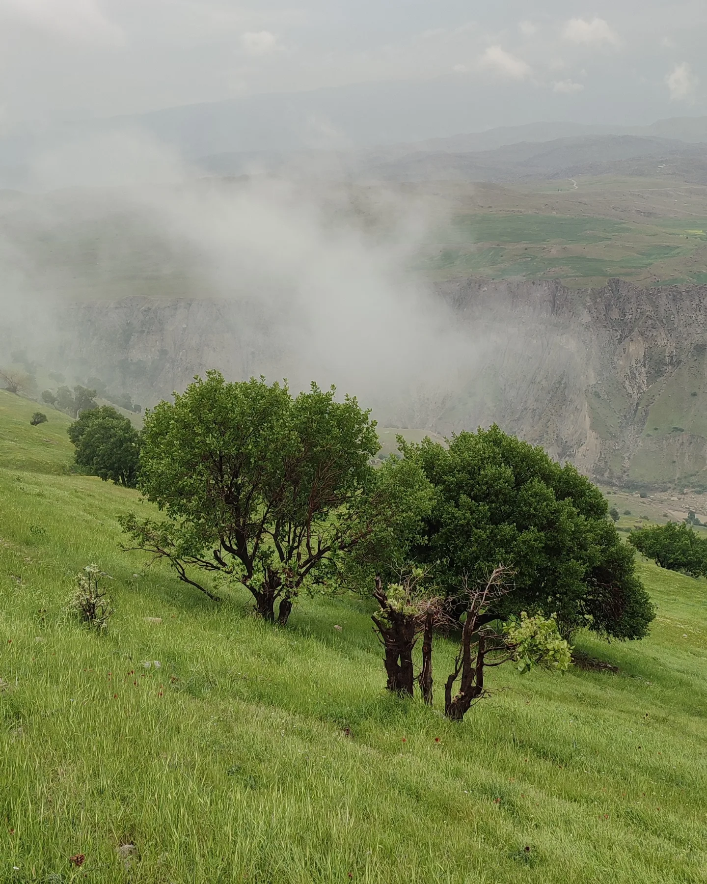 اقامتگاه بوم گردی، اقامتگاه و خونه روستایی، ویلا