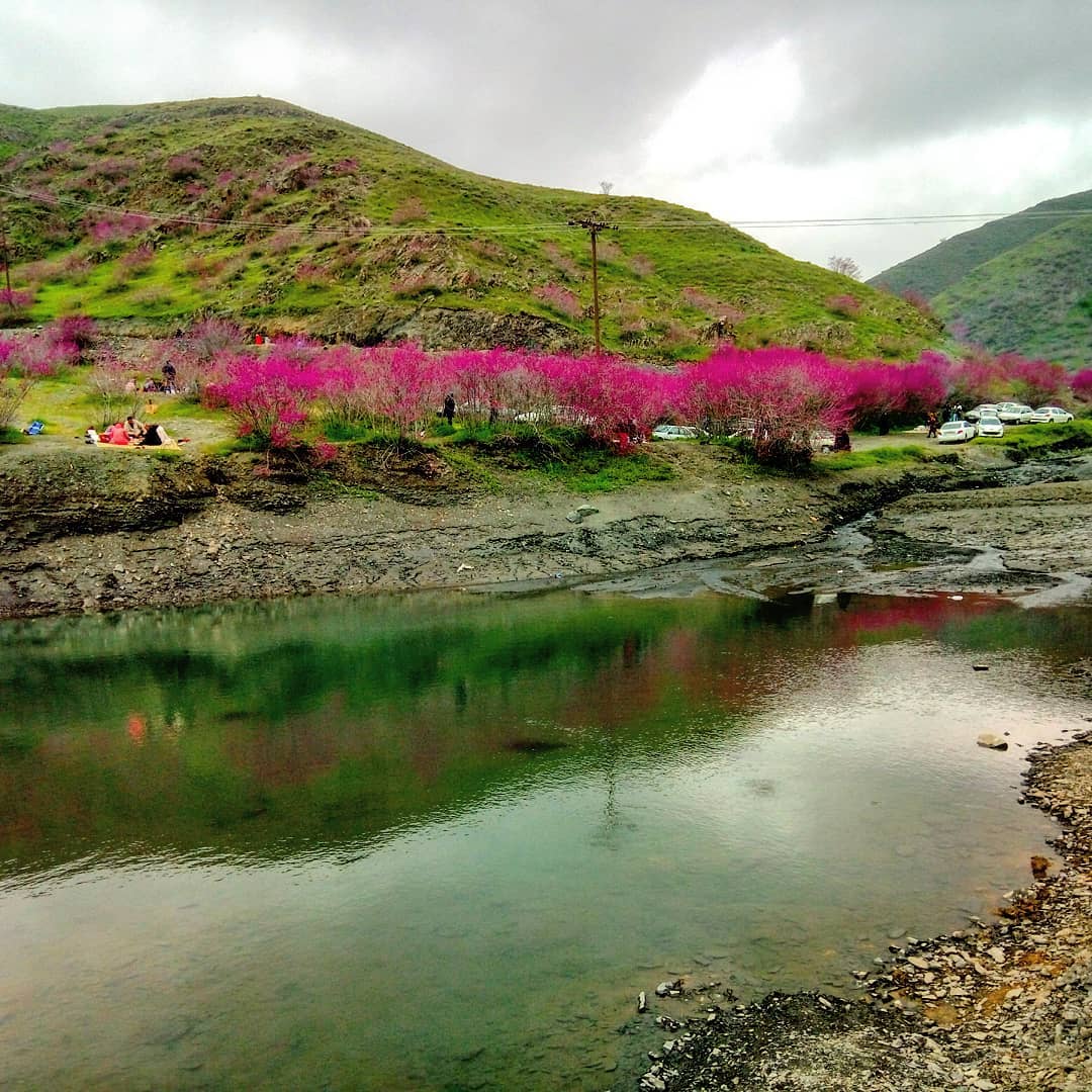 اقامتگاه بوم گردی، اقامتگاه و خونه روستایی، ویلا