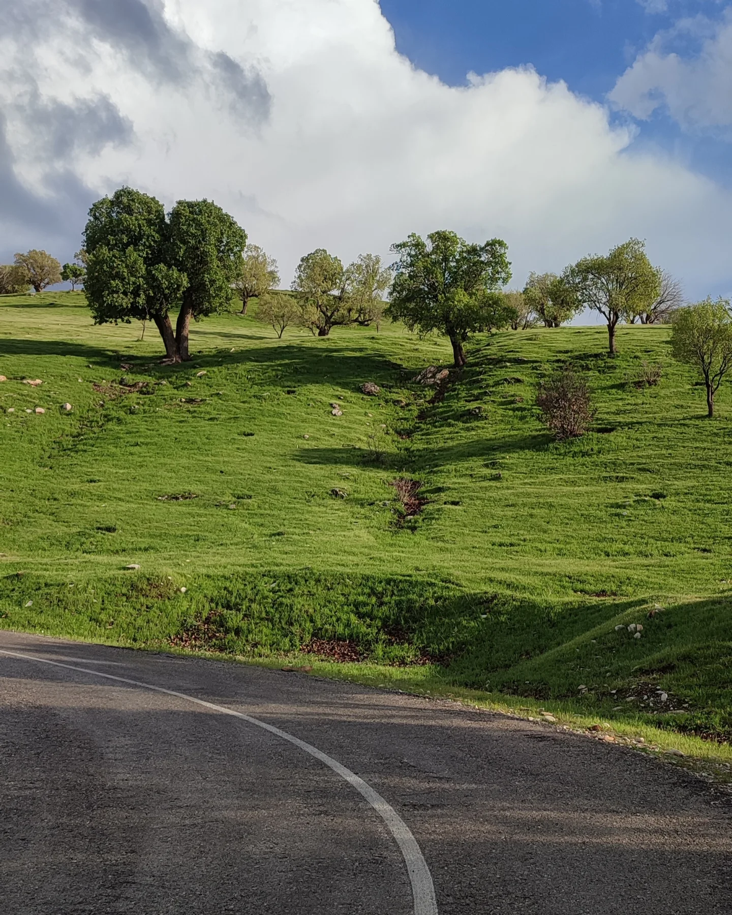 اقامتگاه بوم گردی، اقامتگاه و خونه روستایی، ویلا