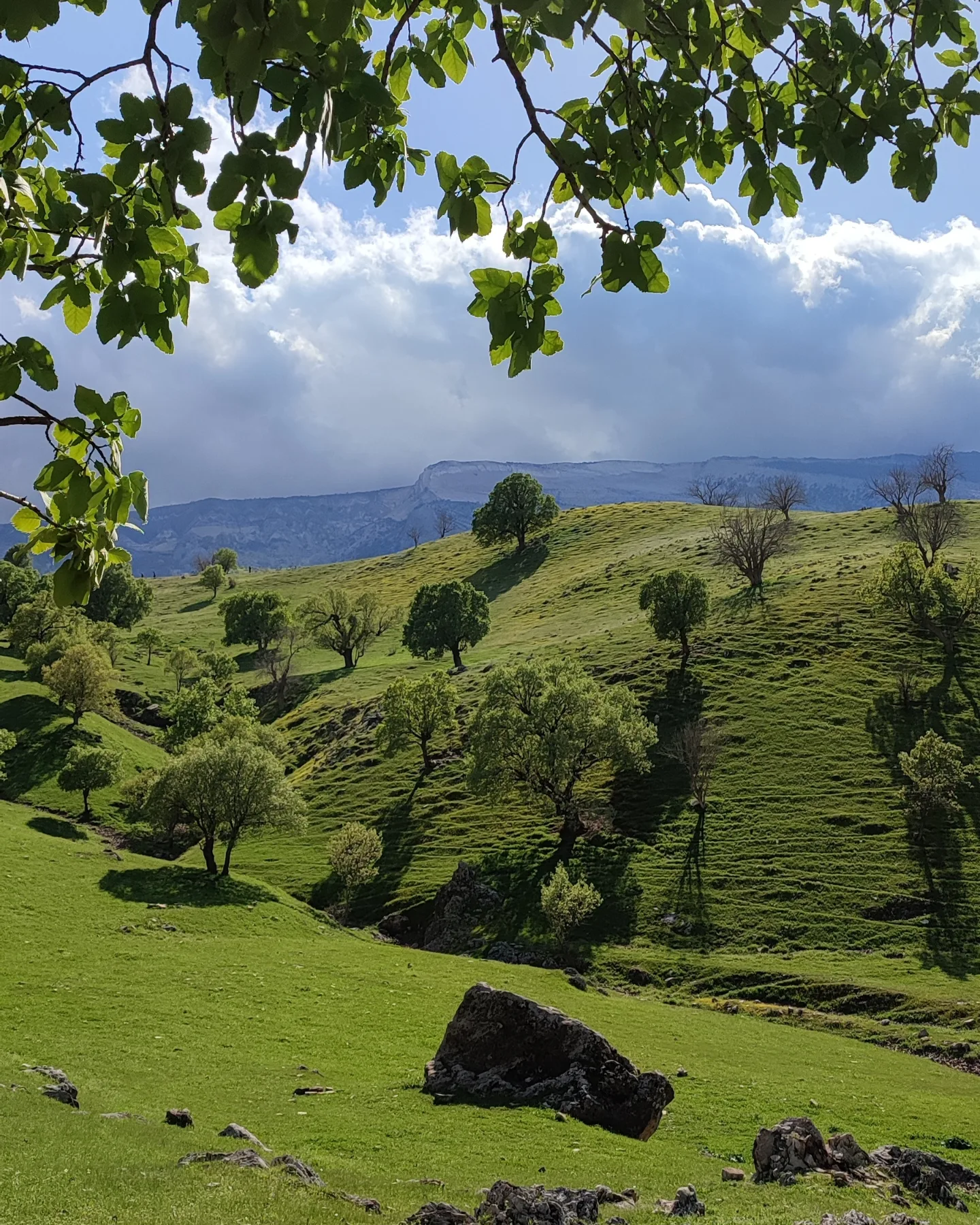 اقامتگاه بوم گردی، اقامتگاه و خونه روستایی، ویلا