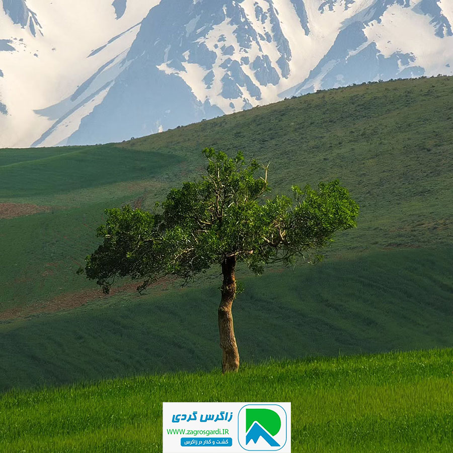 اقامتگاه بوم گردی، اقامتگاه و خونه روستایی، ویلا