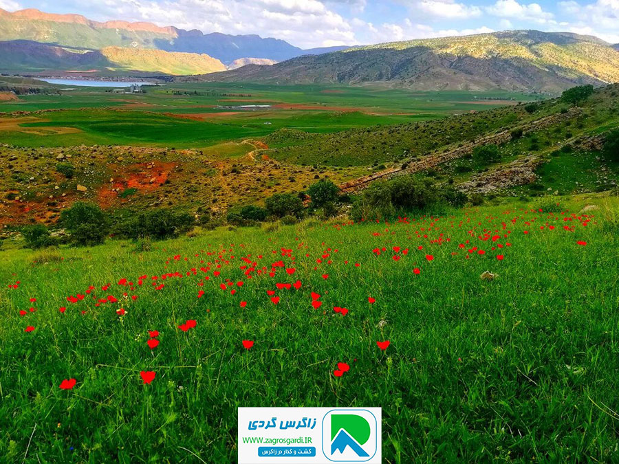 اقامتگاه بوم گردی، اقامتگاه و خونه روستایی، ویلا