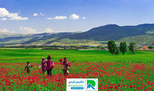 اقامتگاه بوم گردی، اقامتگاه و خونه روستایی، ویلا