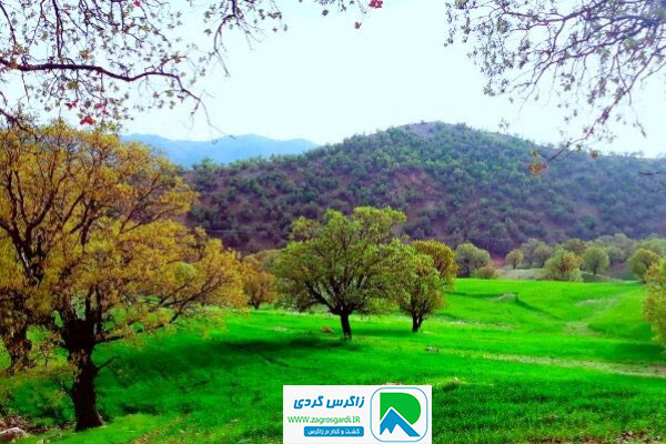 اقامتگاه بوم گردی، اقامتگاه و خونه روستایی، ویلا