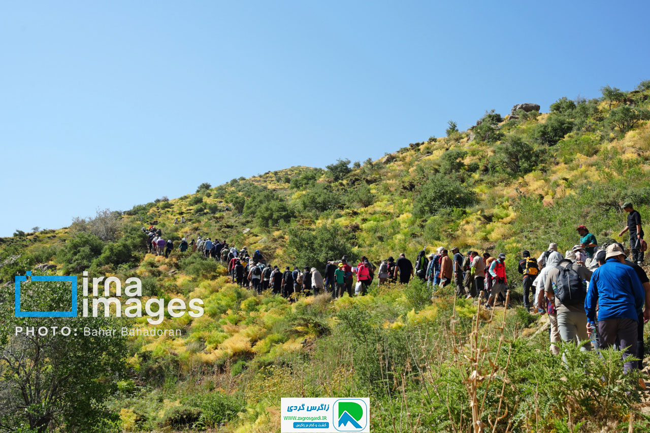 اقامتگاه بوم گردی، اقامتگاه و خونه روستایی، ویلا
