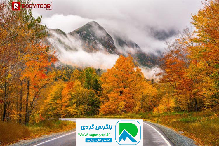 اقامتگاه بوم گردی، اقامتگاه و خونه روستایی، ویلا