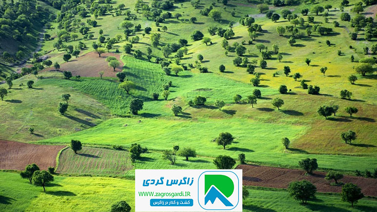 اقامتگاه بوم گردی، اقامتگاه و خونه روستایی، ویلا