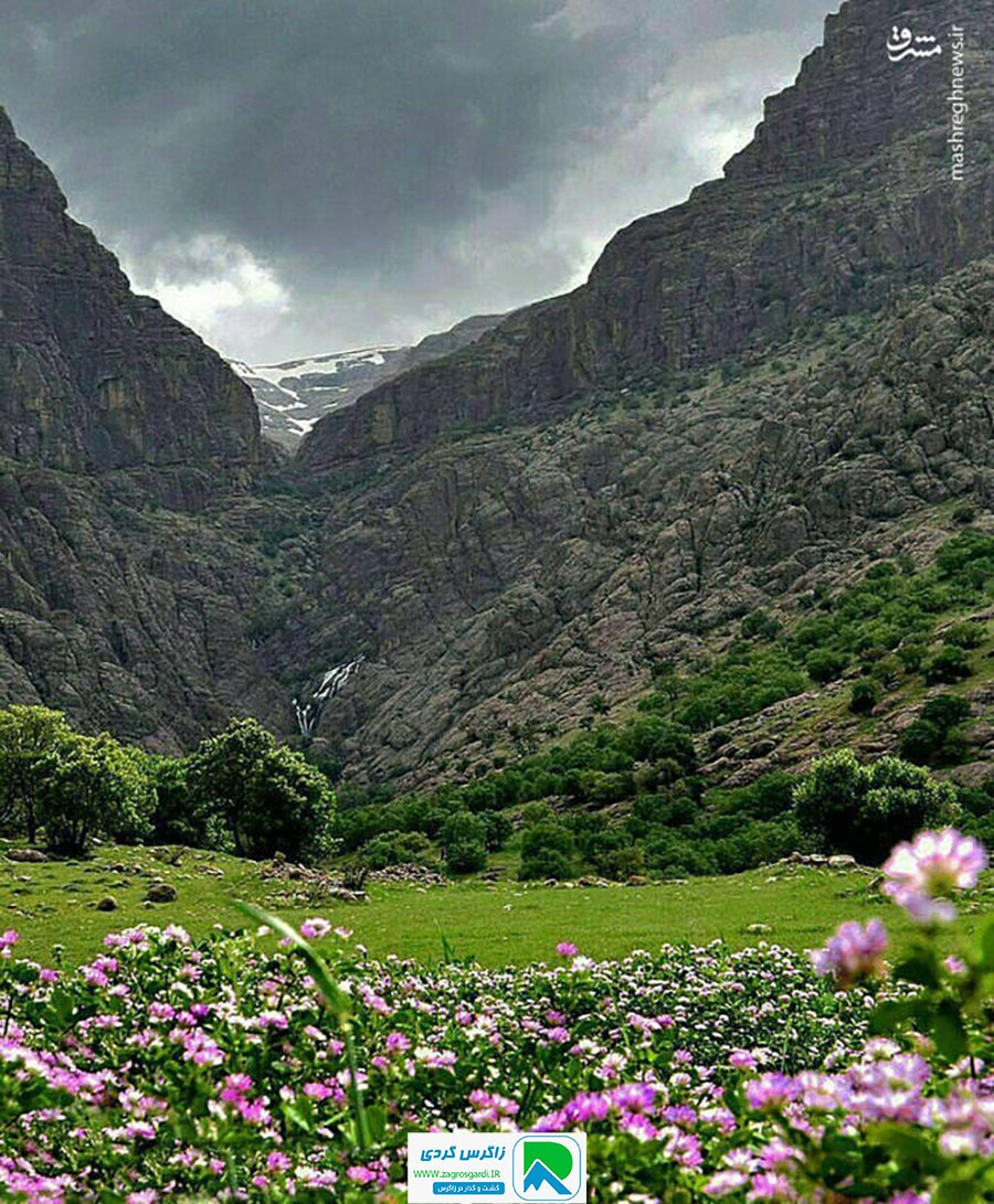 اقامتگاه بوم گردی، اقامتگاه و خونه روستایی، ویلا