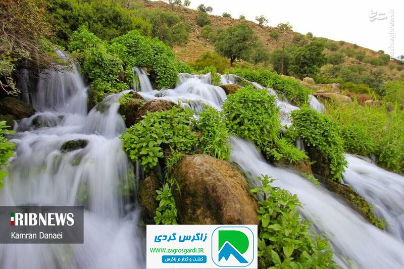 اقامتگاه بوم گردی، اقامتگاه و خونه روستایی، ویلا