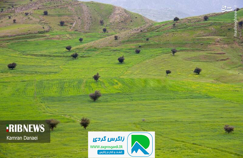 اقامتگاه بوم گردی، اقامتگاه و خونه روستایی، ویلا