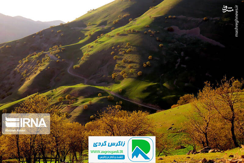 اقامتگاه بوم گردی، اقامتگاه و خونه روستایی، ویلا