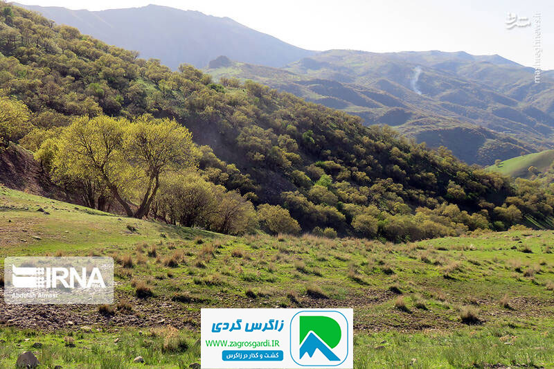 اقامتگاه بوم گردی، اقامتگاه و خونه روستایی، ویلا