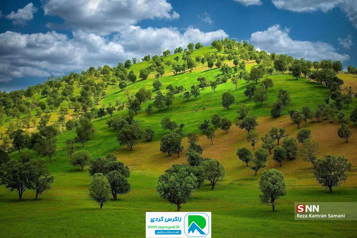 اقامتگاه بوم گردی، اقامتگاه و خونه روستایی، ویلا