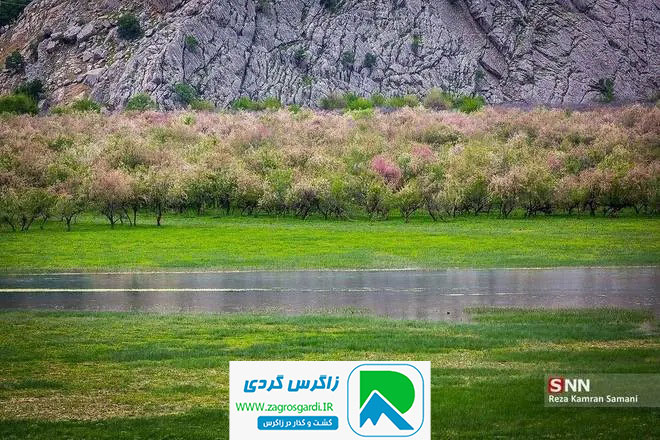 اقامتگاه بوم گردی، اقامتگاه و خونه روستایی، ویلا