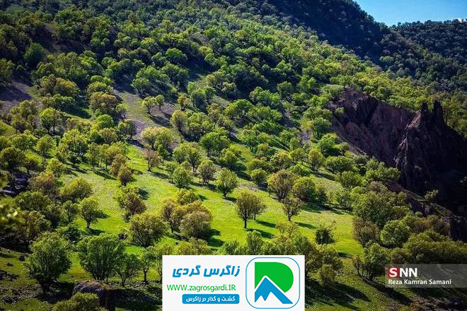 اقامتگاه بوم گردی، اقامتگاه و خونه روستایی، ویلا