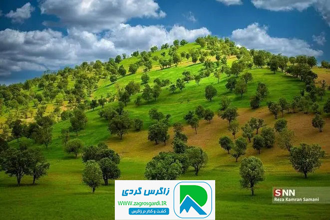 اقامتگاه بوم گردی، اقامتگاه و خونه روستایی، ویلا