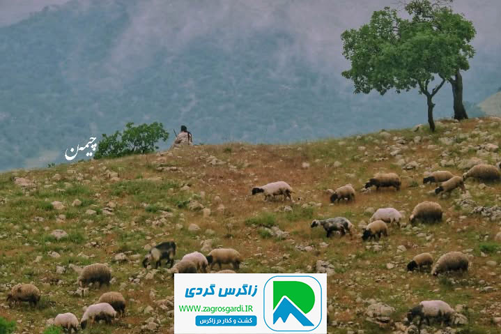 اقامتگاه بوم گردی، اقامتگاه و خونه روستایی، ویلا