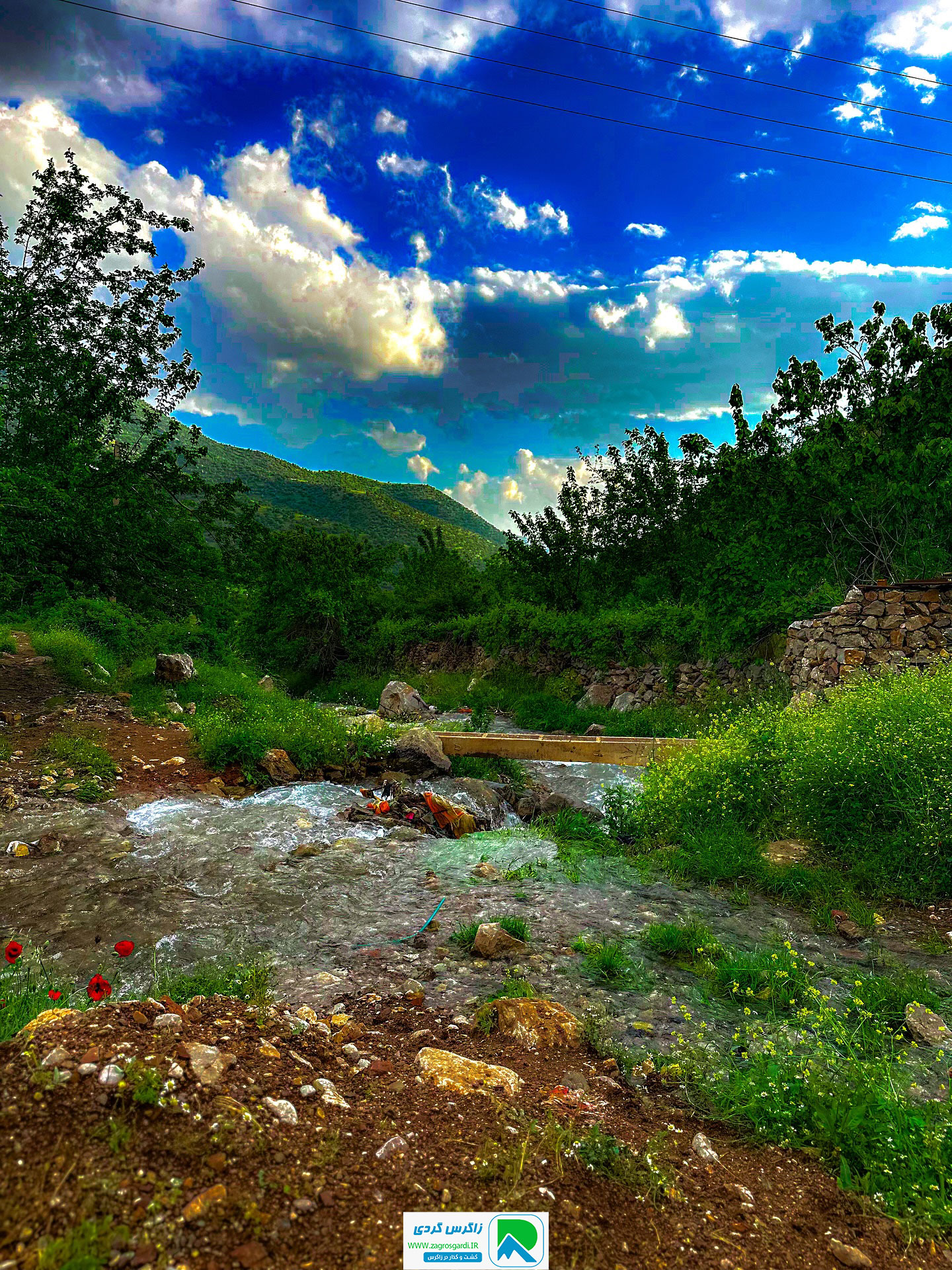 اقامتگاه بوم گردی، اقامتگاه و خونه روستایی، ویلا