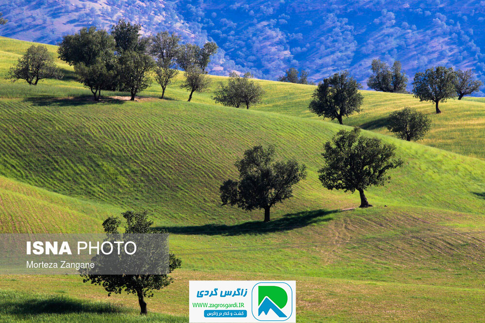 اقامتگاه بوم گردی، اقامتگاه و خونه روستایی، ویلا