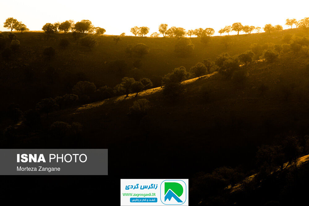 اقامتگاه بوم گردی، اقامتگاه و خونه روستایی، ویلا