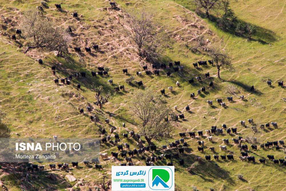 اقامتگاه بوم گردی، اقامتگاه و خونه روستایی، ویلا