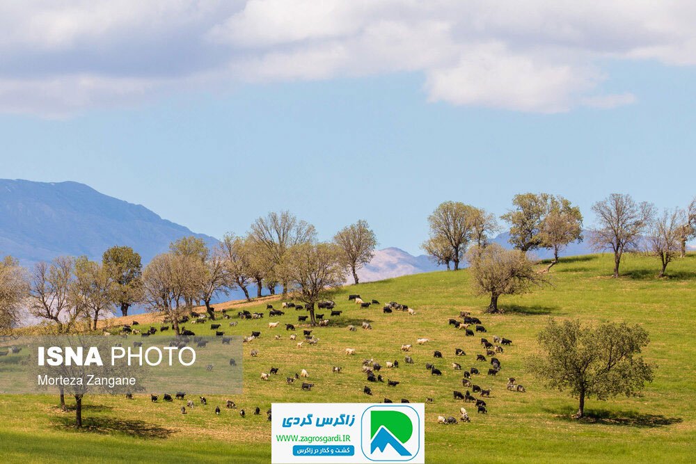 اقامتگاه بوم گردی، اقامتگاه و خونه روستایی، ویلا