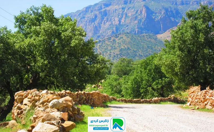 اقامتگاه بوم گردی، اقامتگاه و خونه روستایی، ویلا