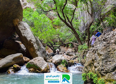 اقامتگاه بوم گردی، اقامتگاه و خونه روستایی، ویلا