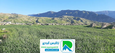 اقامتگاه بوم گردی، اقامتگاه و خونه روستایی، ویلا