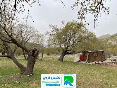 اقامتگاه بوم گردی، اقامتگاه و خونه روستایی، ویلا