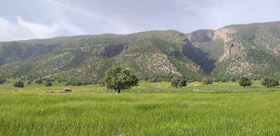 خونه روستایی سیروان–چرداول (تنگه رازیانه)