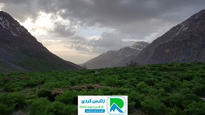 اجاره روزانه خانه روستای منطقه حفاظت شده دنا