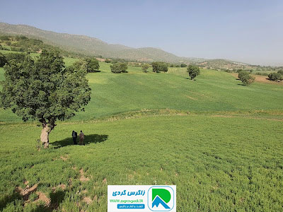اقامتگاه بوم گردی، اقامتگاه و خونه روستایی، ویلا