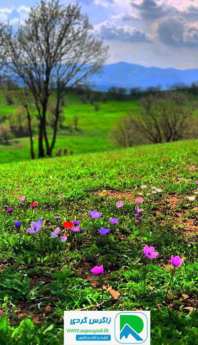 خونه روستایی روانسر (غار قوری قلعه)