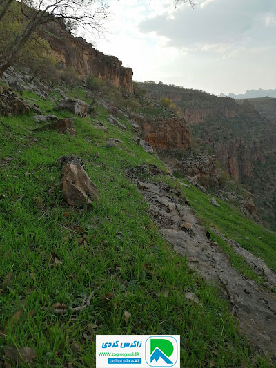 اقامتگاه بوم گردی، اقامتگاه و خونه روستایی، ویلا