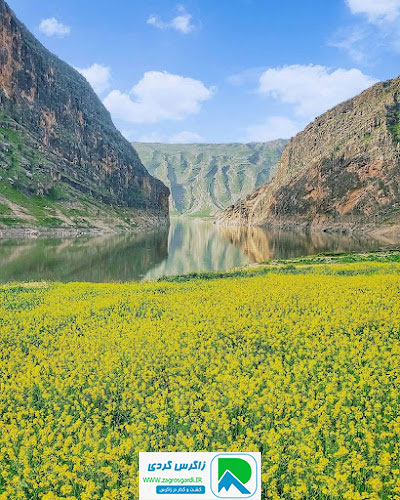 اقامتگاه بوم گردی، اقامتگاه و خونه روستایی، ویلا