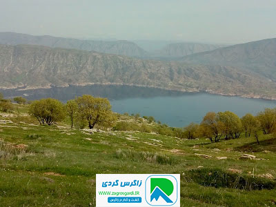 اقامتگاه بوم گردی، اقامتگاه و خونه روستایی، ویلا