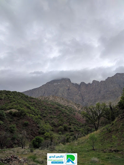 اقامتگاه بوم گردی، اقامتگاه و خونه روستایی، ویلا