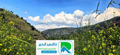 اقامتگاه بوم گردی، اقامتگاه و خونه روستایی، ویلا