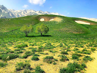 اقامتگاه بوم گردی، اقامتگاه و خونه روستایی، ویلا