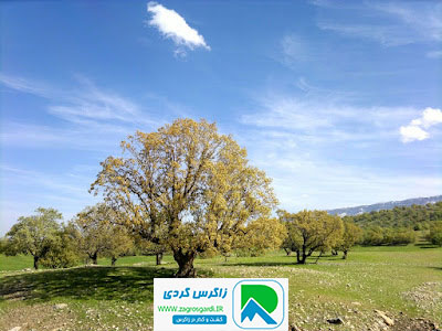 اقامتگاه بوم گردی، اقامتگاه و خونه روستایی، ویلا