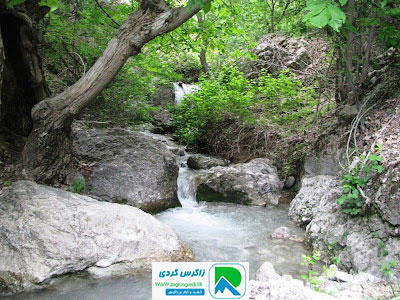اقامتگاه بوم گردی، اقامتگاه و خونه روستایی، ویلا