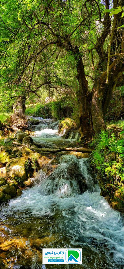 اقامتگاه بوم گردی، اقامتگاه و خونه روستایی، ویلا