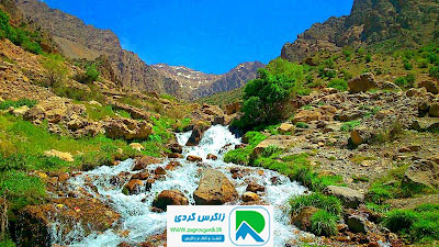 اقامتگاه بوم گردی، اقامتگاه و خونه روستایی، ویلا