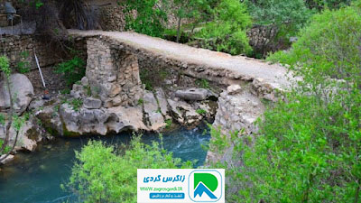 اقامتگاه بوم گردی، اقامتگاه و خونه روستایی، ویلا
