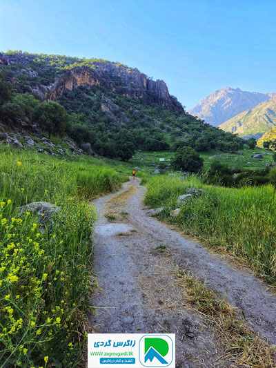 اقامتگاه بوم گردی، اقامتگاه و خونه روستایی، ویلا