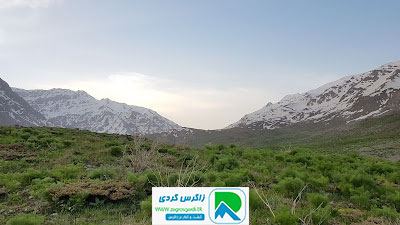 اقامتگاه بوم گردی، اقامتگاه و خونه روستایی، ویلا